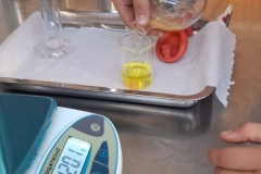 491964777_1107963047802163_5243303364083501195_n