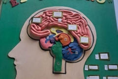 387796744_766652698599868_5116883873182435942_n