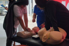 491956438_1109190207679447_1177761972074542723_n