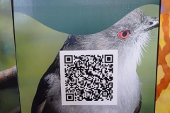 386359196_762558009009337_618443487970548446_n