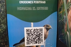 386646776_762557905676014_683606095505471920_n